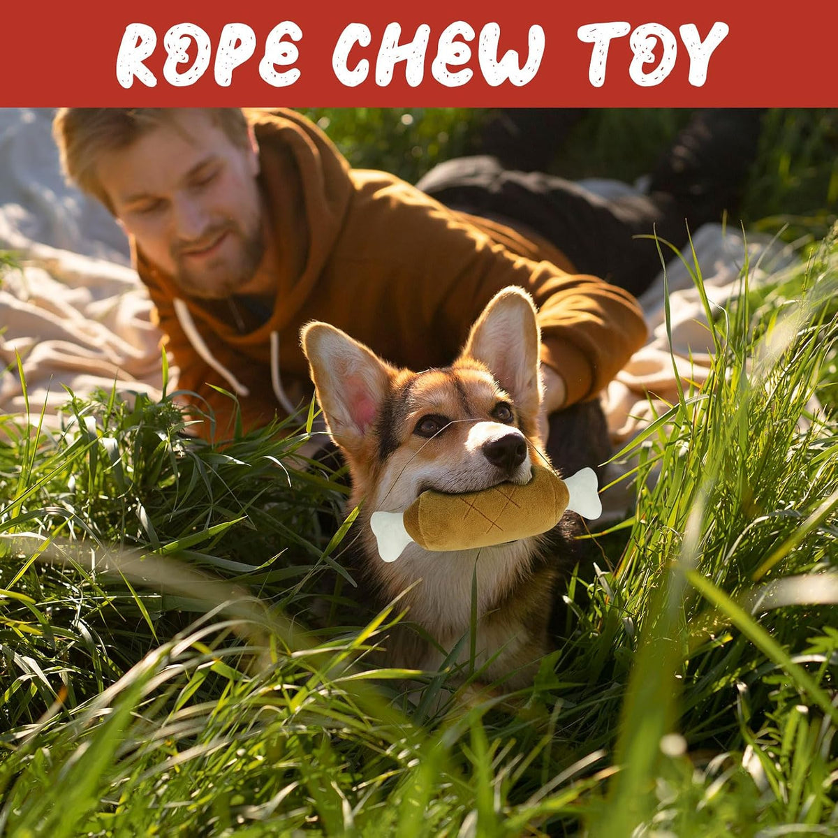 ANOTION Dog Toy Advent Calendar - 12 Days - product view 7